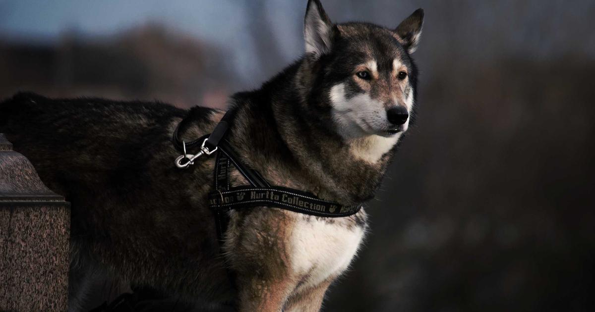 Бизнес идея: мыловарение