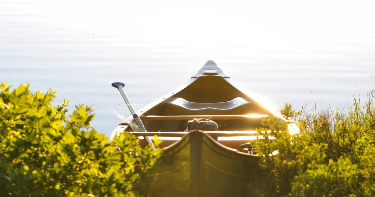 Бизнес идея: как заработать на выращивании вишни