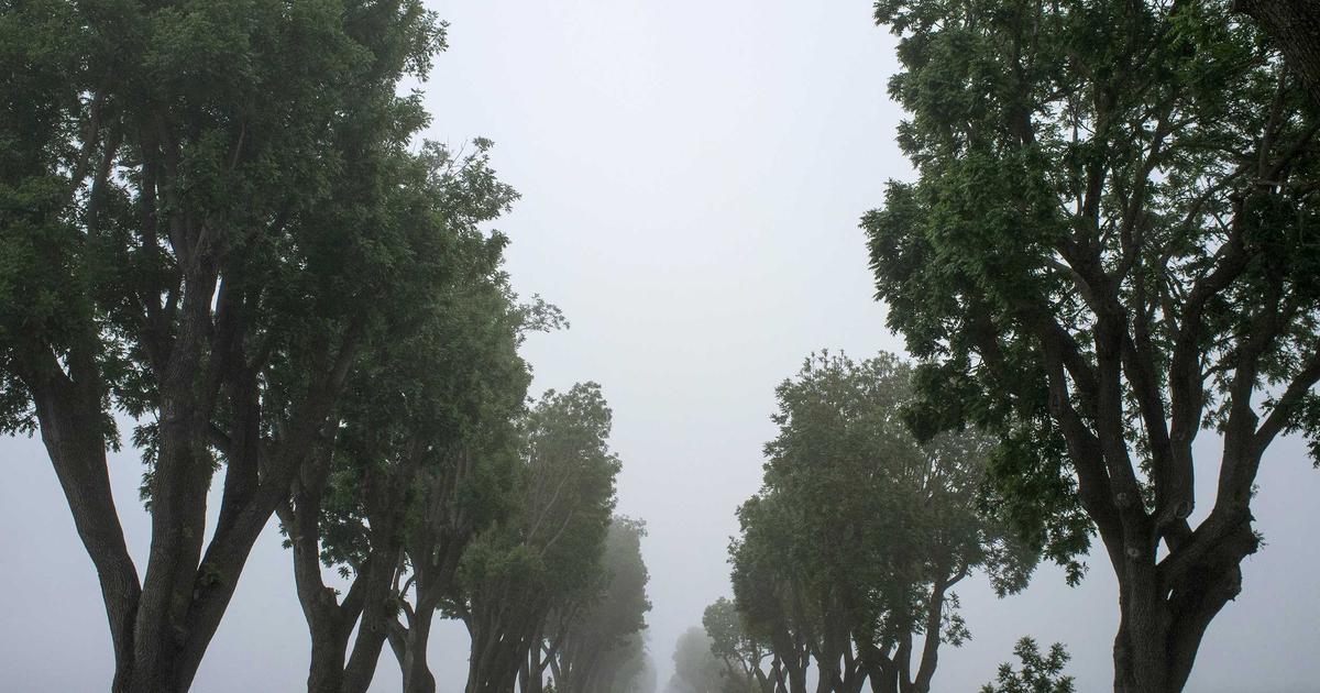 Бизнес-идея: выращивание зелени в теплицах