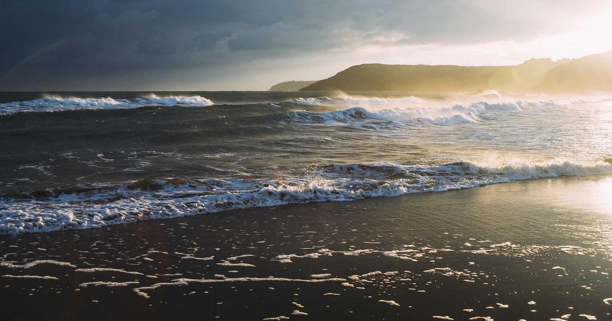 Как сделать бизнес на выращивании цветов в теплице?