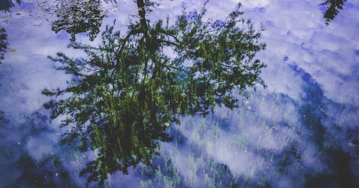 Как заполнить 910 форму онлайн