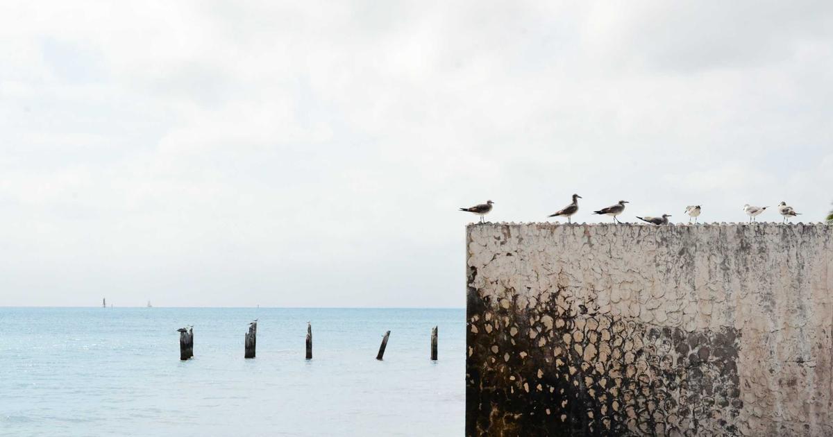 Как найти инвесторов для бизнеса