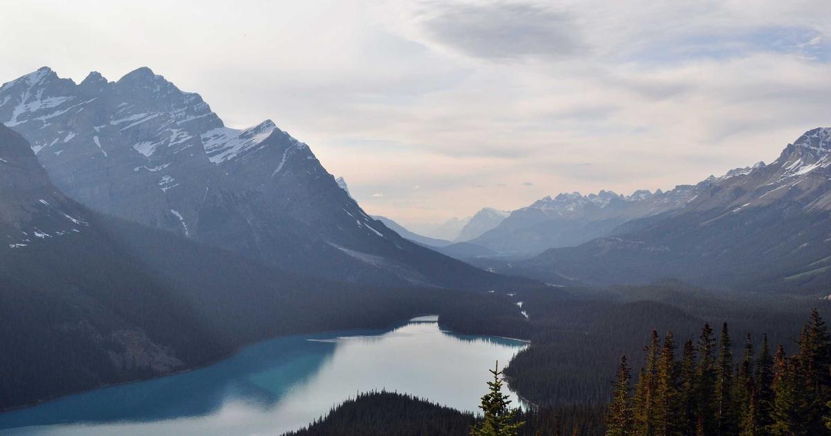 Выращивание ячменя как бизнес