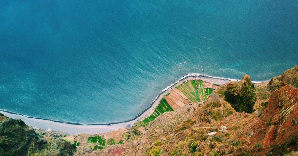 Бизнес-идея: как зарабатывать на выращивании тюльпанов