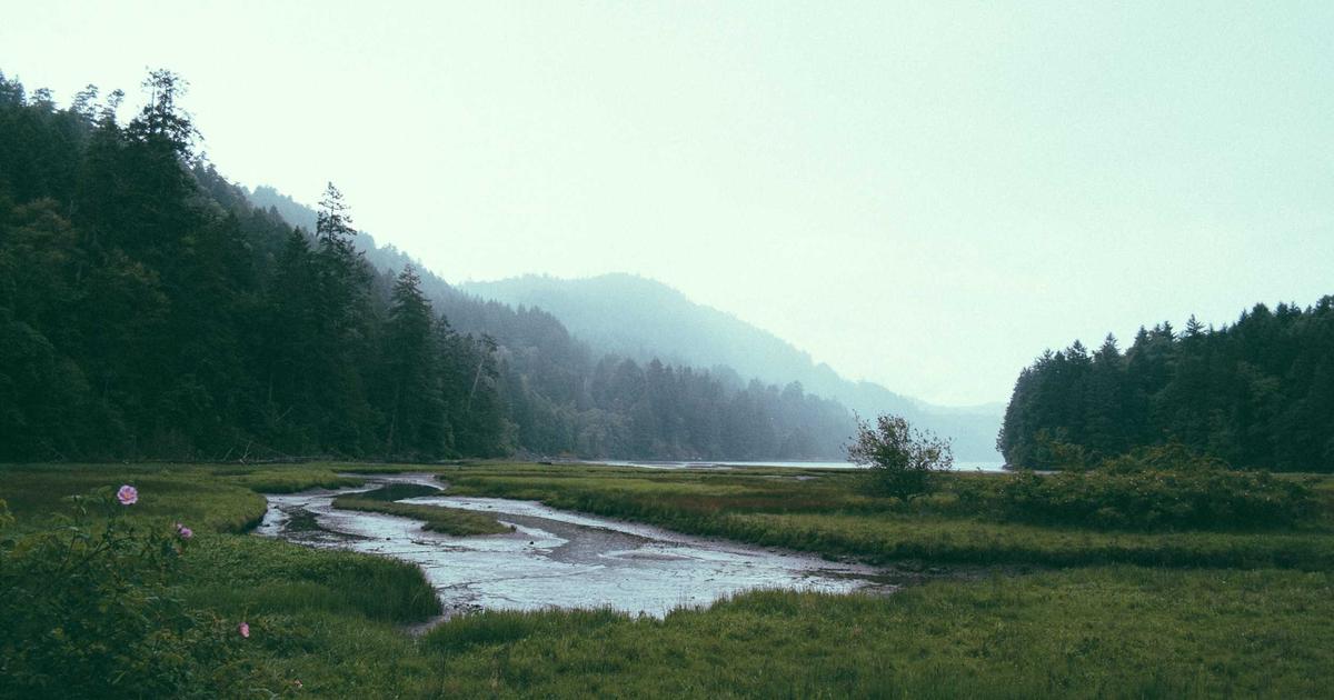 Бизнес-план по открытию модельного агентства