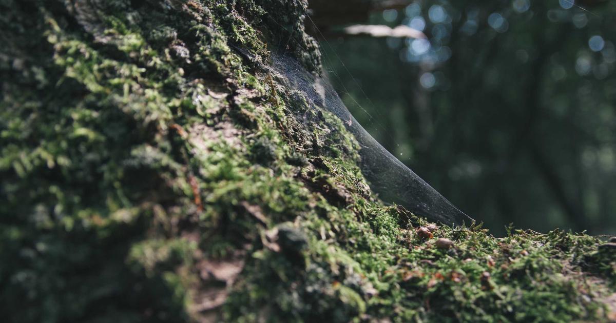 Бизнес-идея: производство открыток