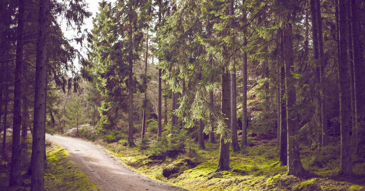 Как заработать на писательстве