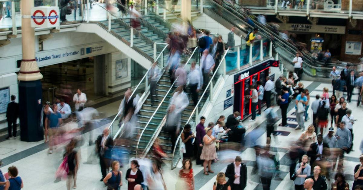 Как заработать на озеленении в Алматы