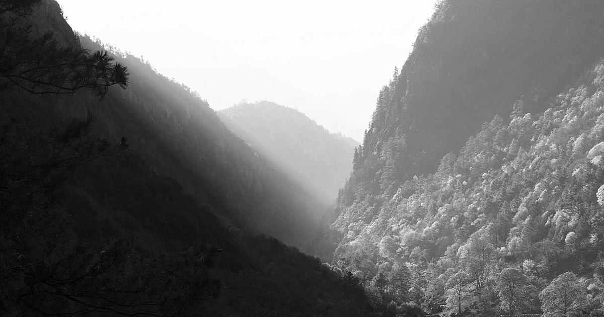 Бизнес-план по открытию пивного бара