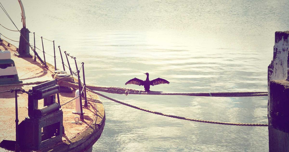 Как SEO-оптимизация сайта поможет росту вашего бизнеса