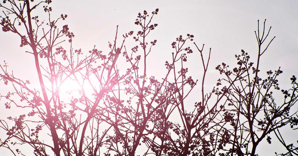 SMM как инструмент развития бизнеса