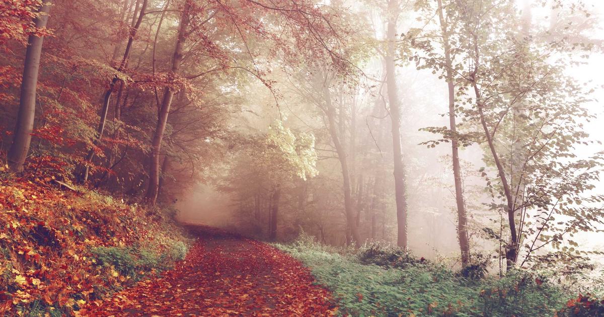 Как заработать на блоге