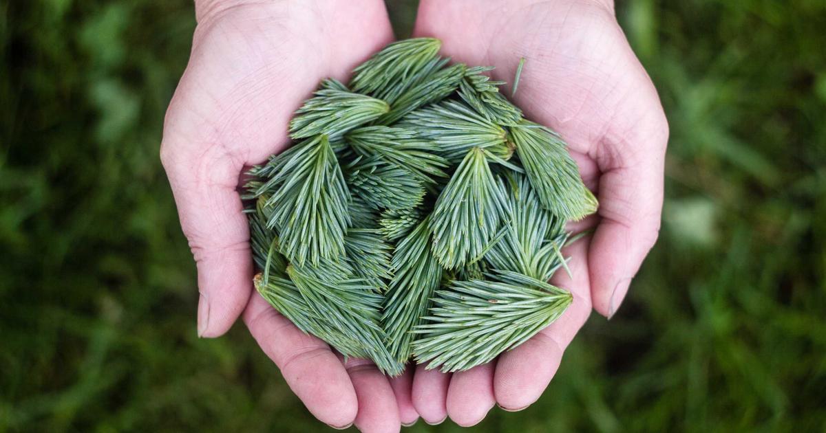 Как открыть пекарню