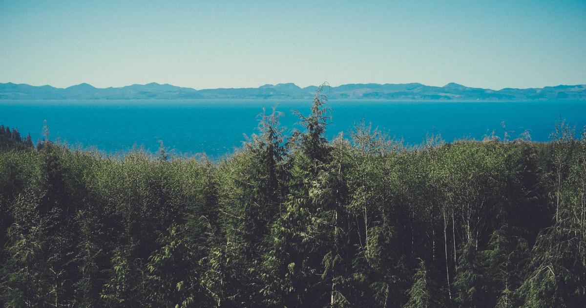 Как открыть ИП