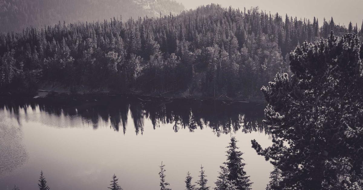 Как выбрать направление бизнеса