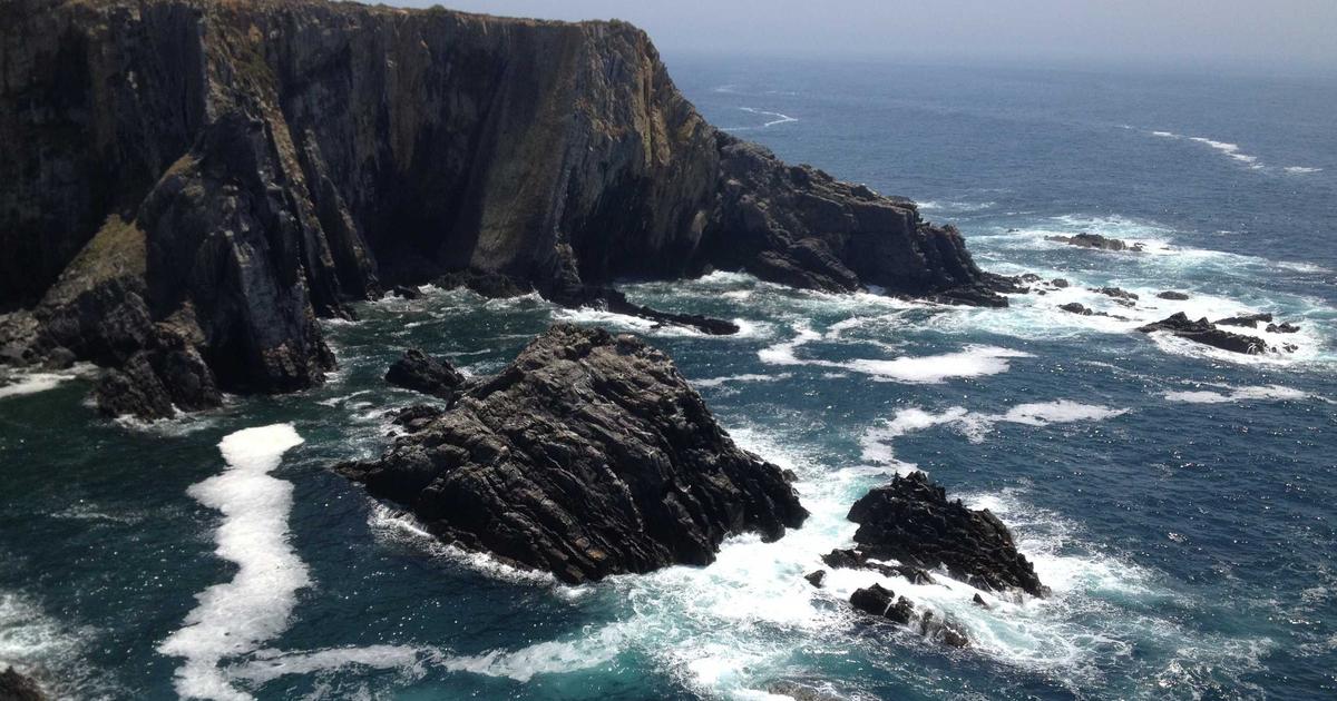 Как открыть курсы скорочтения