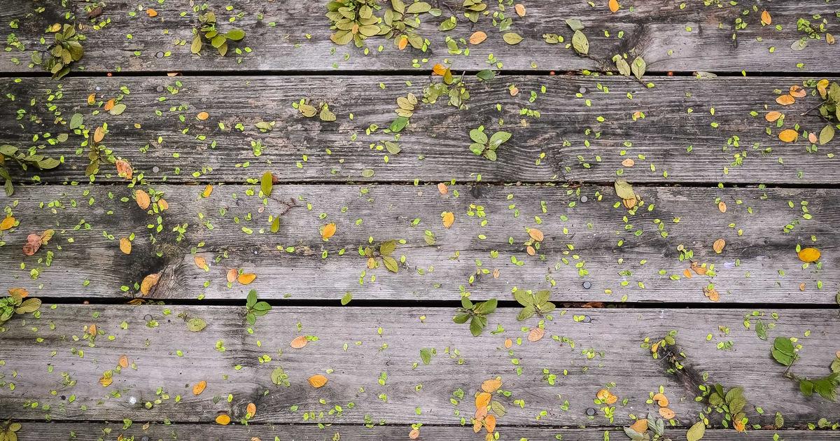 Как заработать на аромамаслах