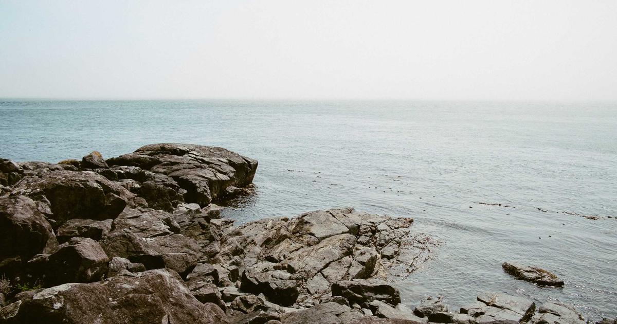 Как заработать на выращивании пшеницы