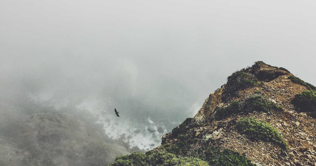 Свой бизнес по наращиванию ногтей