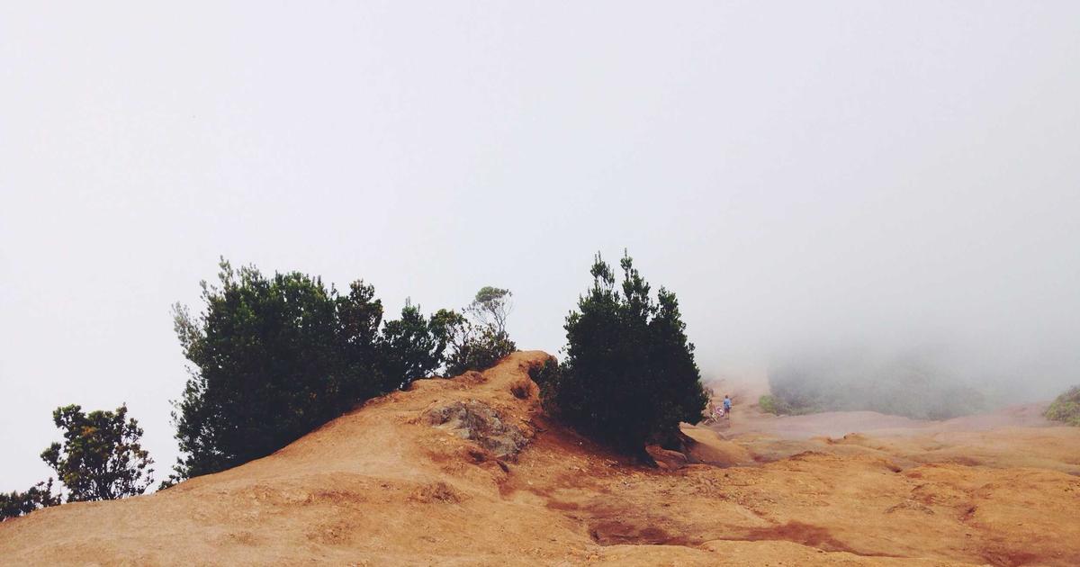 Бизнес-идея: частная рыбалка