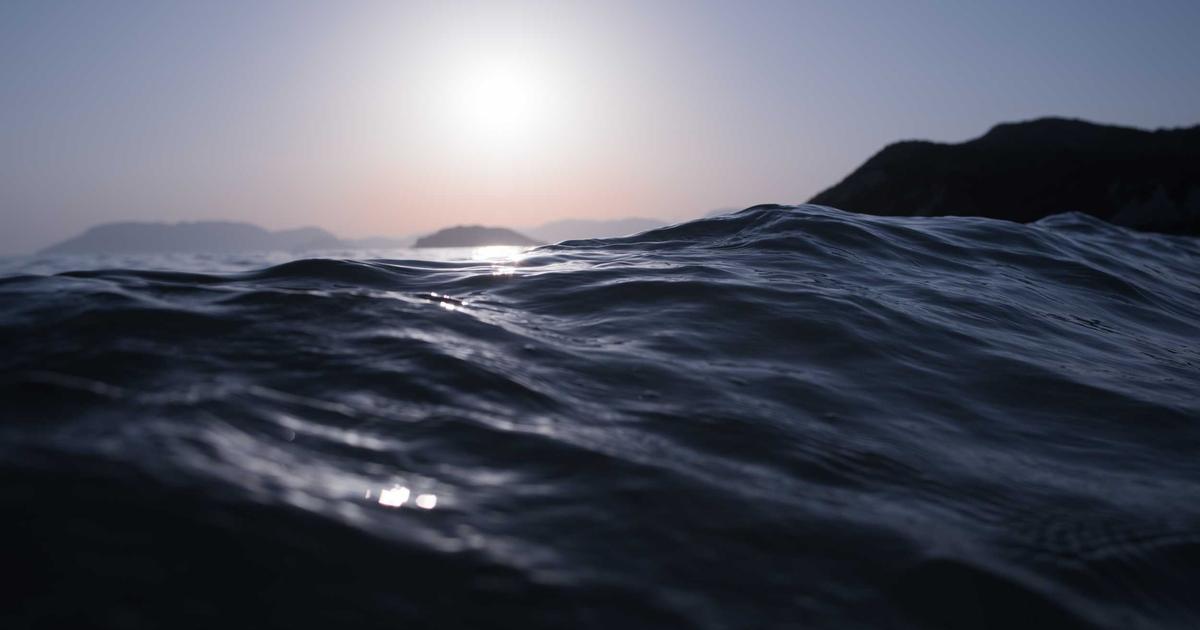 Как начать бизнес по выращиванию орехов